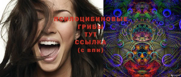 индика Верхний Тагил