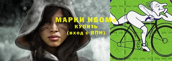 индика Верхний Тагил
