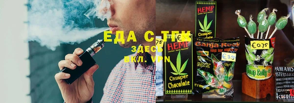 индика Верхний Тагил